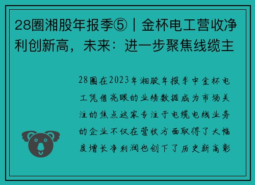 28圈湘股年报季⑤｜金杯电工营收净利创新高，未来：进一步聚焦线缆主业